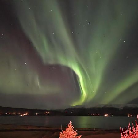 North Inn - Guesthouse And Cabin Akureyri Bagian luar foto